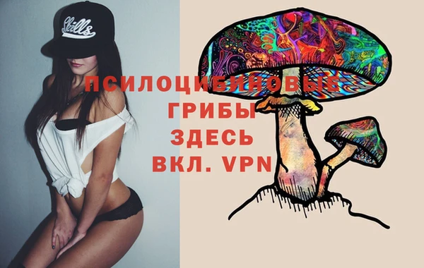 мяу мяу мука Армянск