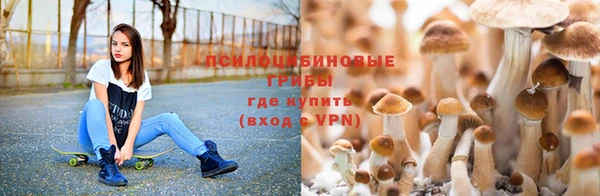 мяу мяу мука Армянск