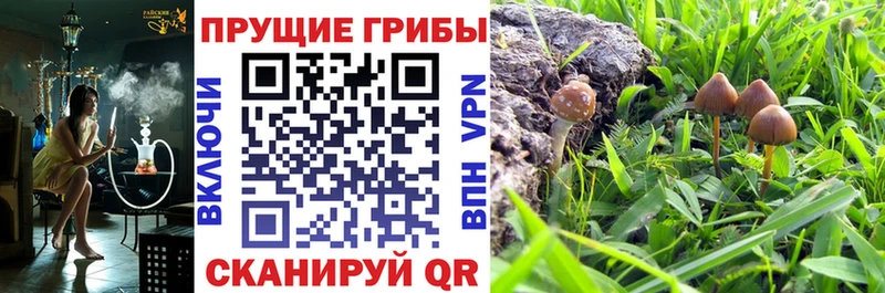 Галлюциногенные грибы мухоморы  Оленегорск 